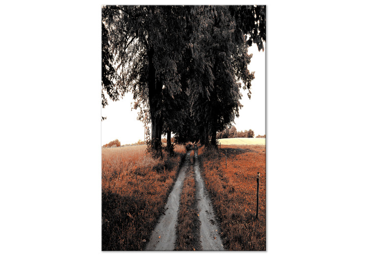 Canvas Countryside path - grain fields, trees and poplars summer landscape 124379
