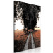 Canvas Countryside path - grain fields, trees and poplars summer landscape 124379 additionalThumb 2