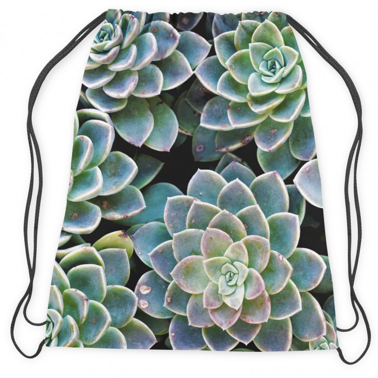 Backpack Symmetry of succulents - a plant composition with rich detailing 147379 additionalImage 2