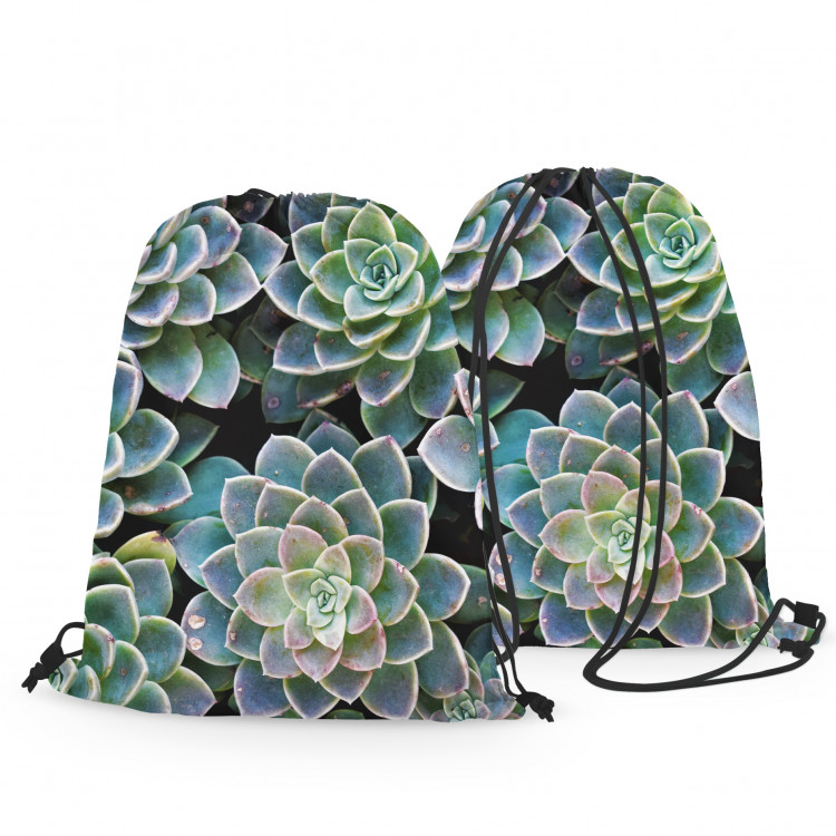Backpack Symmetry of succulents - a plant composition with rich detailing 147379 additionalImage 3