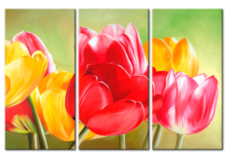 Canvas Tulips in Bloom Again (3-piece) - Colourful flowers on a green background 48679