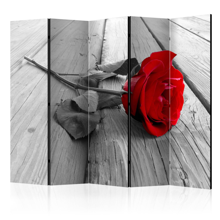 Room Divider Abandoned Rose II - red rose flower on a gray wooden floor 133799
